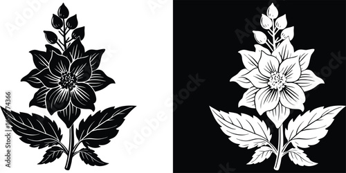 Elegant black and white floral design is perfect for invitations, stationery, or web design projects needing a touch of natural beauty
