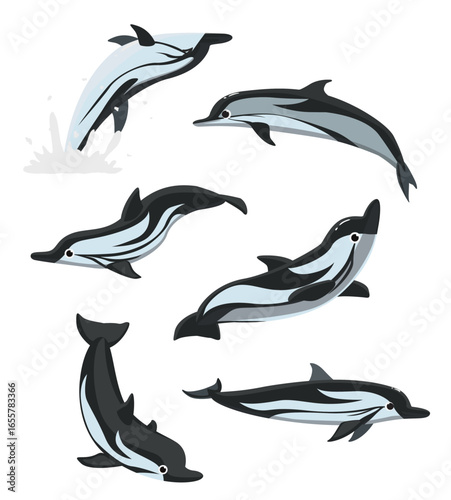 Striped Dolphin Poses Jumping Set Cartoon Vector