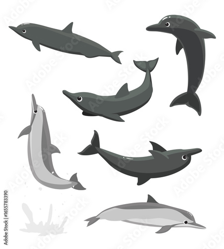 Spinner Dolphin Poses Jumping Set Cartoon Vector