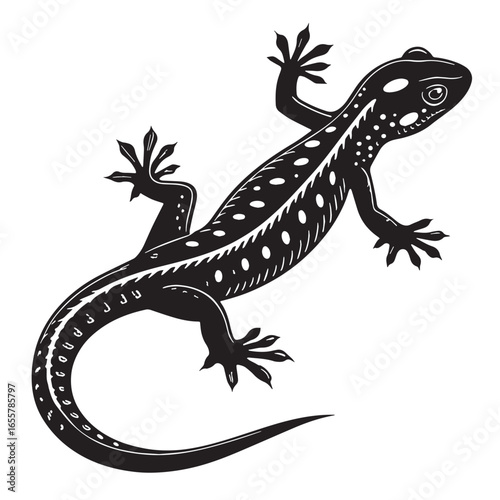 black salamander Silhouette Vector, High Quality Illustration on White Background