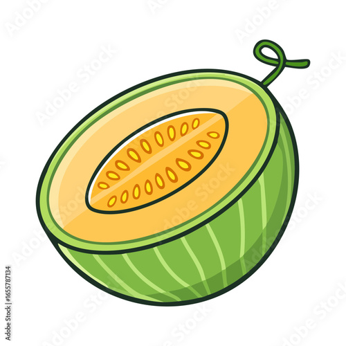 ripe melon isolated on white background