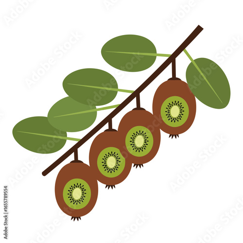 Ripe kiwifruit hanging from a branch with green leaves.
