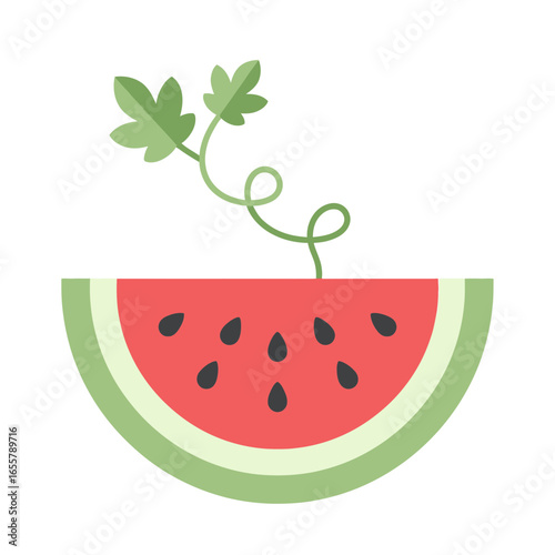 Slice of watermelon with green leaves and vine.