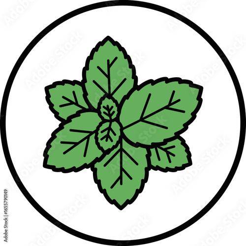Green mint leaves inside a white circle with black border.