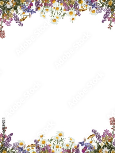 frame of colorful flowers
Vintage flowers frame