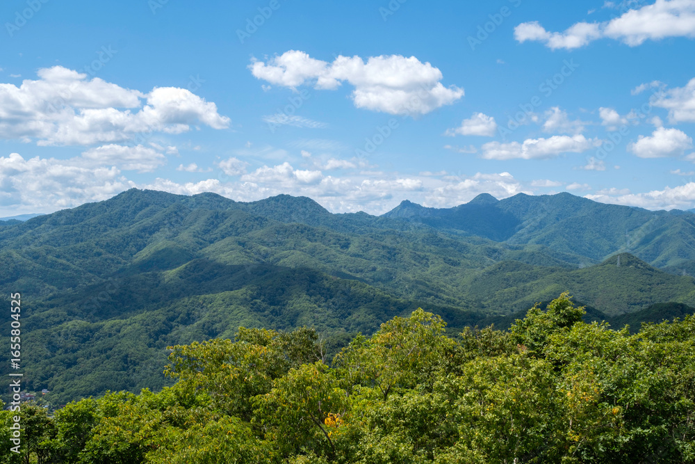 Obraz premium Mt Moiwa Sapporo Hokkaido 藻岩山 札幌 北海道