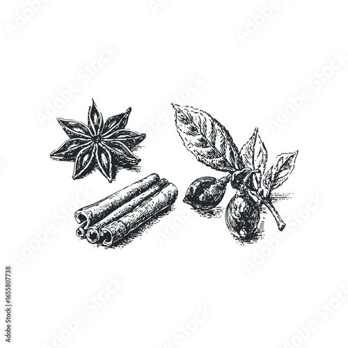 Black and White Sketch of Star Anise Pods and Cinnamon Sticks