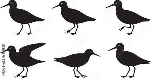 Black and white vector illustration of a sandpiper bird