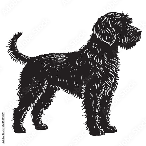 black spanish Silhouette Vector, High Quality Illustration on White Background