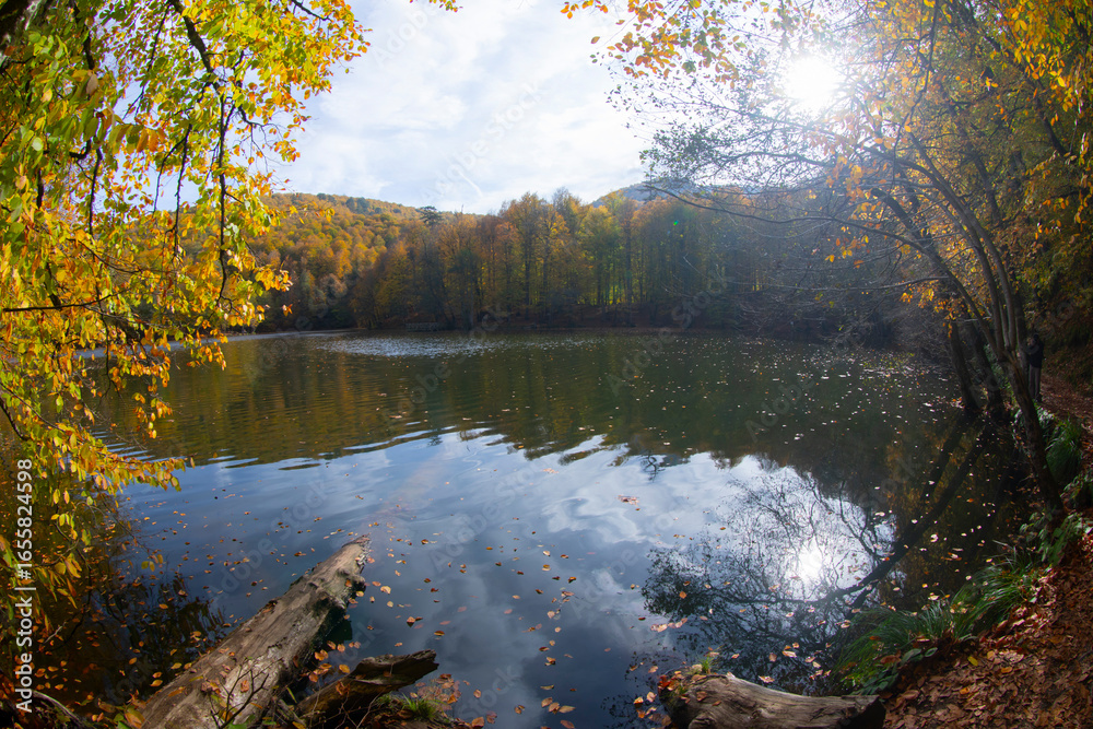 Obraz premium Yedigöller National Park is a national park in Bolu province in the Black Sea Region.