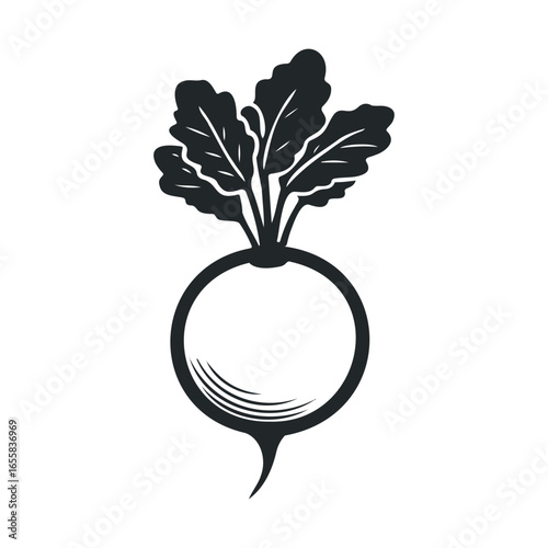 Black and white radish illustration with leaves on white background