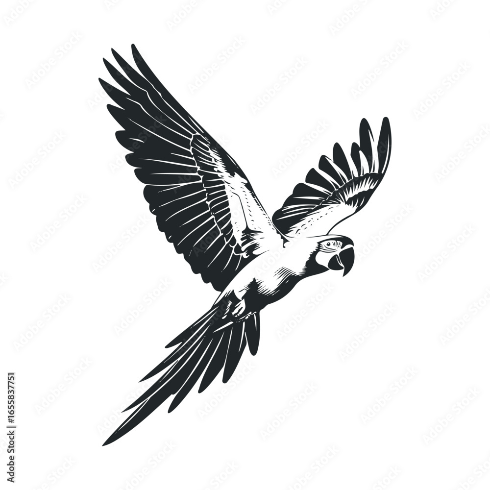 Naklejka premium Black and white sketch of a parrot in flight with detailed wing spread