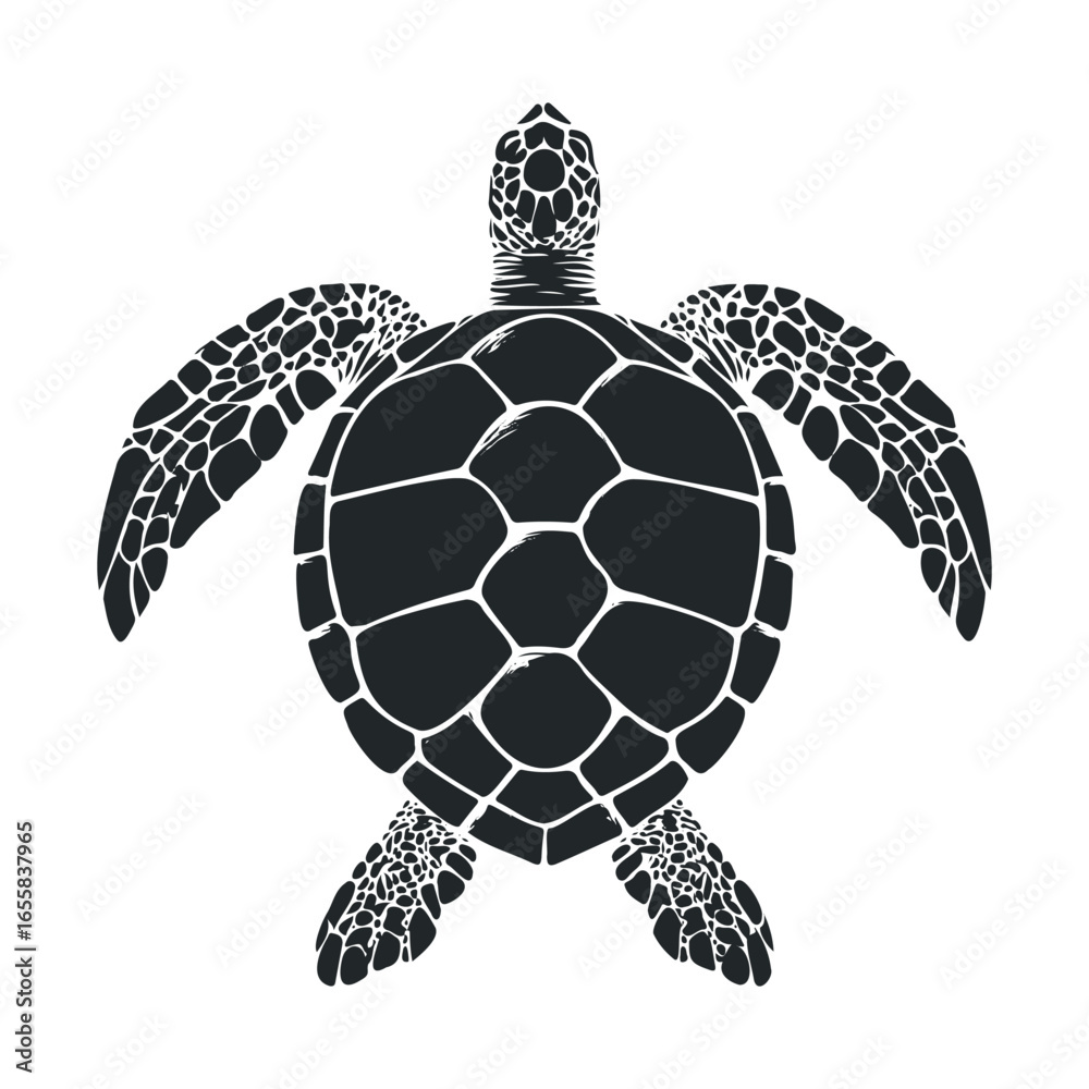 Fototapeta premium Stylized black and white sea turtle illustration with detailed shell patterns