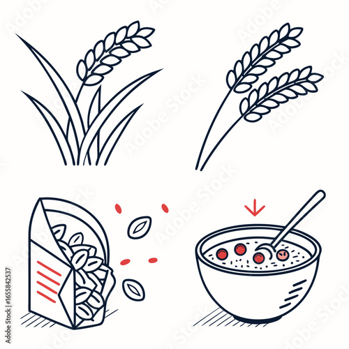 Cereal grain harvest illustration with wheat, grains, and a bowl of breakfast oatmeal with berries, a nutritious and healthy food concept