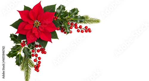 Christmas poinsettia, holly, and berries decoration isolated