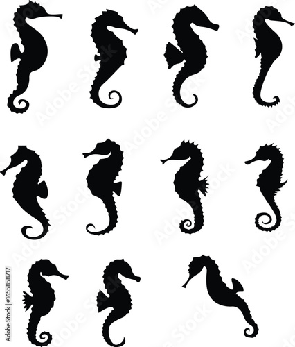 Seahorse Silhouette Ocean Life Symbol