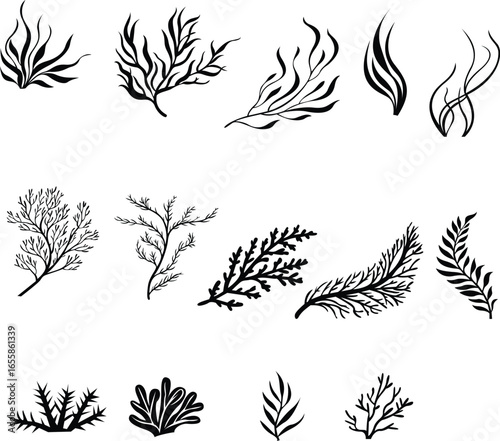 Decorative Silhouette Seaweed for Coastal Decor