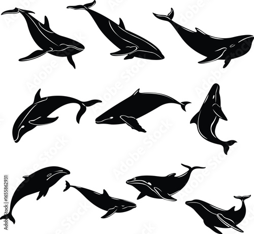 Majestic Whale Silhouette Art