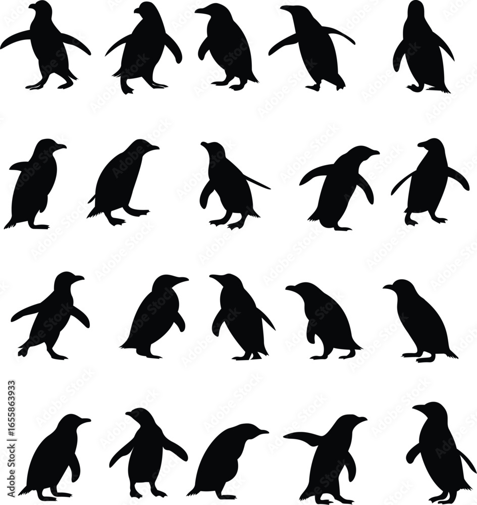 Naklejka premium Elegant Penguin Silhouette Vector Art