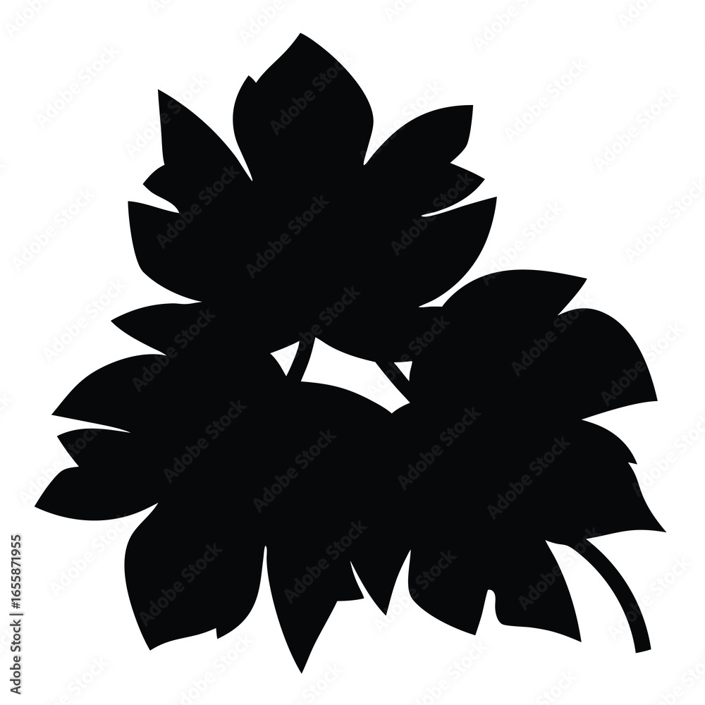 Obraz premium Three Distinct Leaves in Solid Black Silhouette Illustration on 