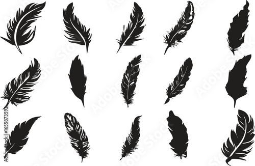 Decorative feather icons set. Colorful hand-drawn feathers. Easy to change color or size. Bird feather poster, banner designing for media and web. trust, Honor, strength, wisdom, power, and freedom.