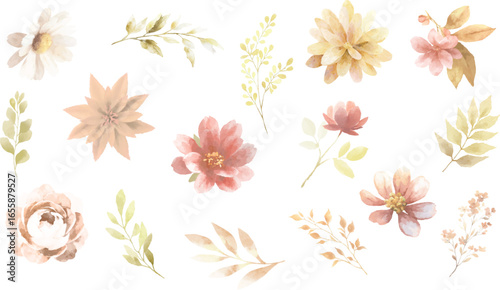 Watercolor Floral Set, Vector Illustration on White Background.