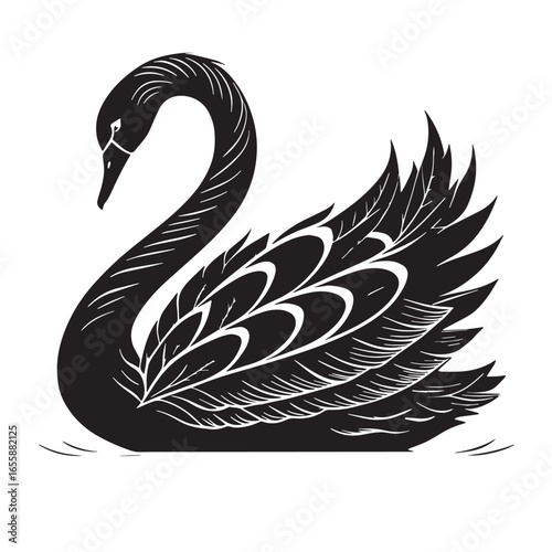 Fototapeta Naklejka Na Ścianę i Meble -  black swan Silhouette Vector, High Quality Illustration on White Background