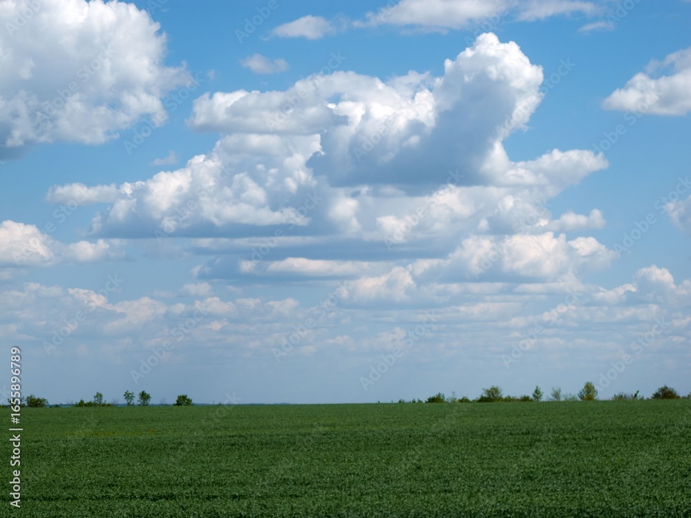 Fototapeta premium beautiful outdoor landscape in Ukraine