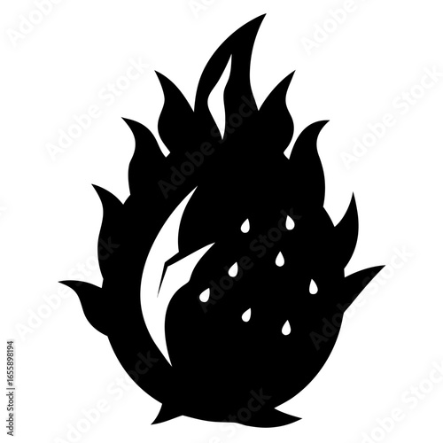 dragonfruit silhouette on white background