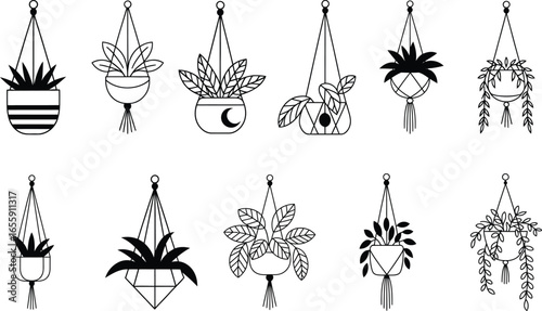 Collection of hand drawn macrame plant hangers with various potted plants