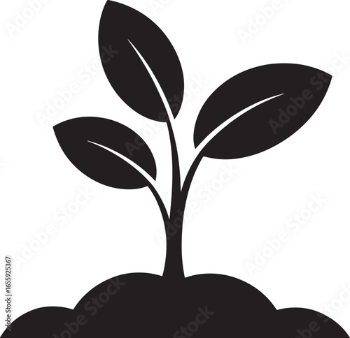 sprout growing from soil illustration silhouette royalty free stock photos premium quality