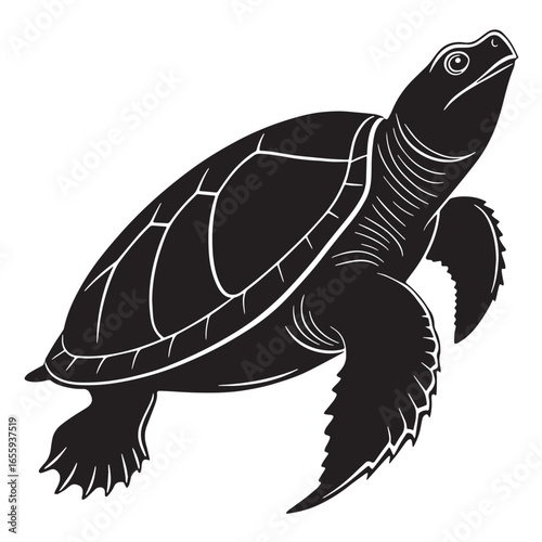 black yangtze giant softshell turtle Silhouette Vector, High Quality Illustration on White Background