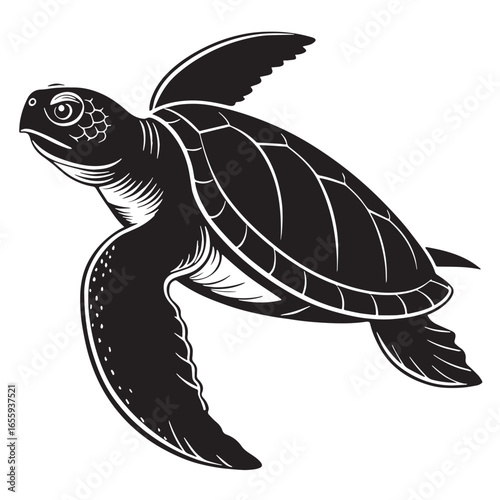 black yangtze giant softshell turtle Silhouette Vector, High Quality Illustration on White Background