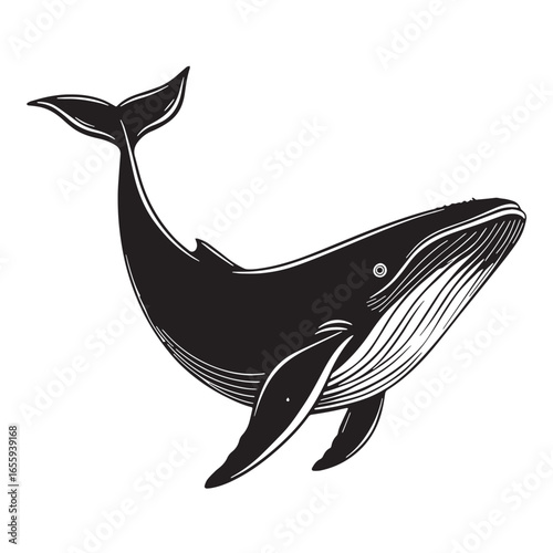 black whale Silhouette Vector, High Quality Illustration on White Background