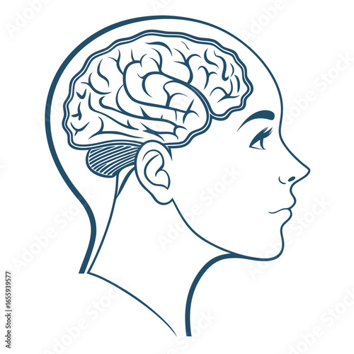 A human head with brain, perfect for a science or medical illustration about intelligence