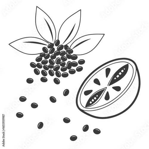 Coffee bean plant and fruit, a natural and organic ingredient for a flavorful and aromatic drink