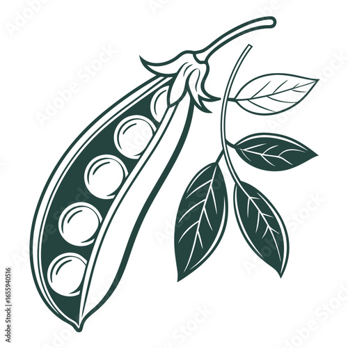 Illustration of a green pea pod with leaves, , showcasing its natural beauty and nutritional value
