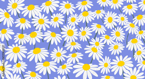 Daisy floral pattern with yellow centers and white petals on a periwinkle background