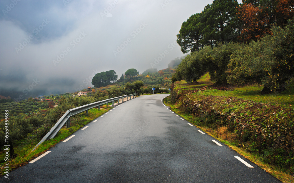 Fototapeta premium Rural paved road between green hills and autumn fog