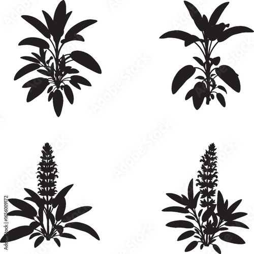 Wallpaper Mural Stylized Black-and-White Tiger Illustrations in Natural Poses Torontodigital.ca