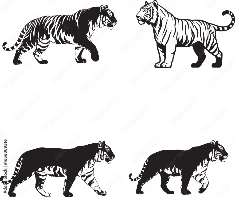 custom made wallpaper toronto digitalStylized Black-and-White Tiger Illustrations in Natural Poses