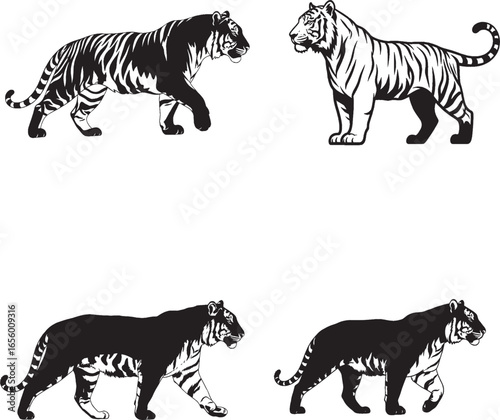 Wallpaper Mural Stylized Black-and-White Tiger Illustrations in Natural Poses Torontodigital.ca