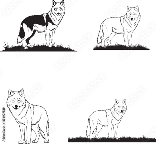 Wallpaper Mural Stylized Black-and-White Wolf Illustrations in Natural Poses Torontodigital.ca