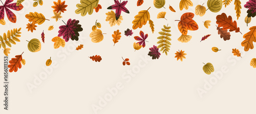 Fall leaves decoration, horizontal banner. Autumn leaf falling down, seasonal nature background. Autumnal decorative pattern, decor, ornamental botanical forest border. Flat vector illustration