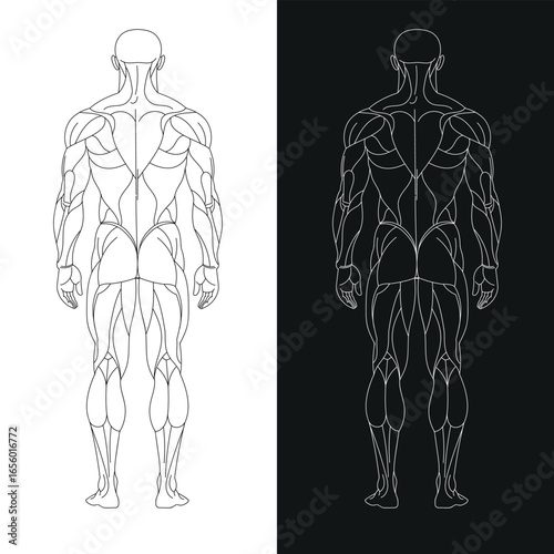 Sports human figure pure fitness black white background on gym equipment
