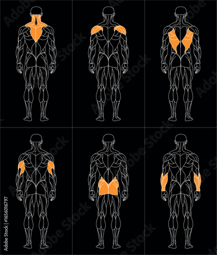 sportman_back_oben_b