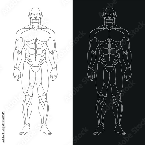 sportman_front