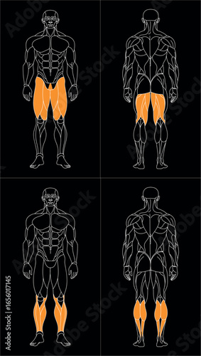 sportman_front_oben_w