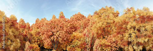 3d rendering of a panoramic autumn deciduous forest with yellow, orange, and red foliage on a sky background. Realistic wide nature panorama illustration, cutout fall park trees.