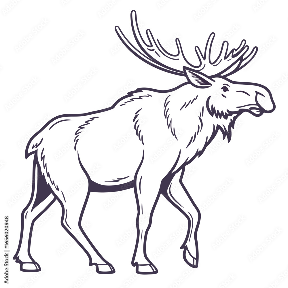 Fototapeta premium vector illustration of a deer